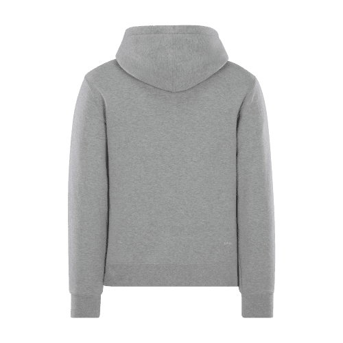 HOODIE GREY BACK